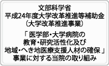 文部科学省 平成24年度大学改革推進等補助金(大学改革推進事業)