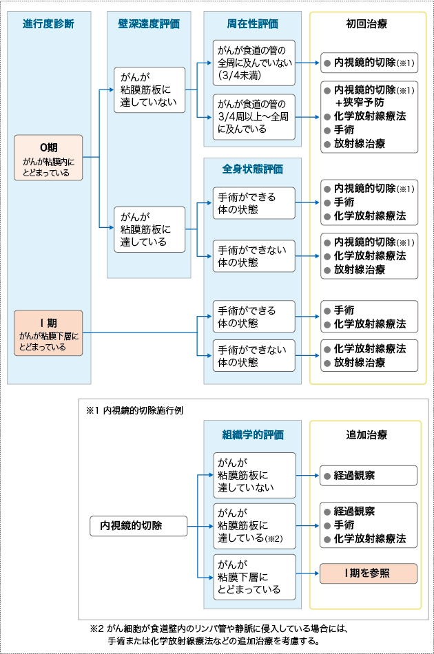 食道がんの病期と治療 食道がん 西新宿の地で がんに挑む 東京医科大学病院