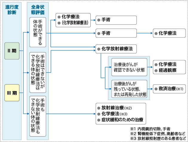 食道がんの病期と治療 食道がん 西新宿の地で がんに挑む 東京医科大学病院