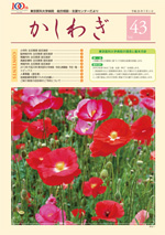 かしわぎ Vol.43