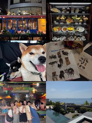 ①13A-2.jpeg