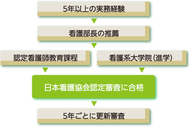 専門 認定看護師 東京医科大学病院 看護部