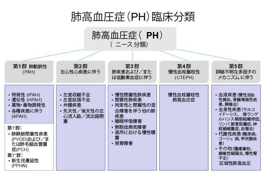 肺高血圧商（PH)臨床分類